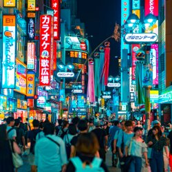 Entrepreneurship in Japan: Breaking Through Traditional Boundaries